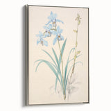 Maximalist Wall Art - Elegant Botanical Orchid Illustration for Home Decor