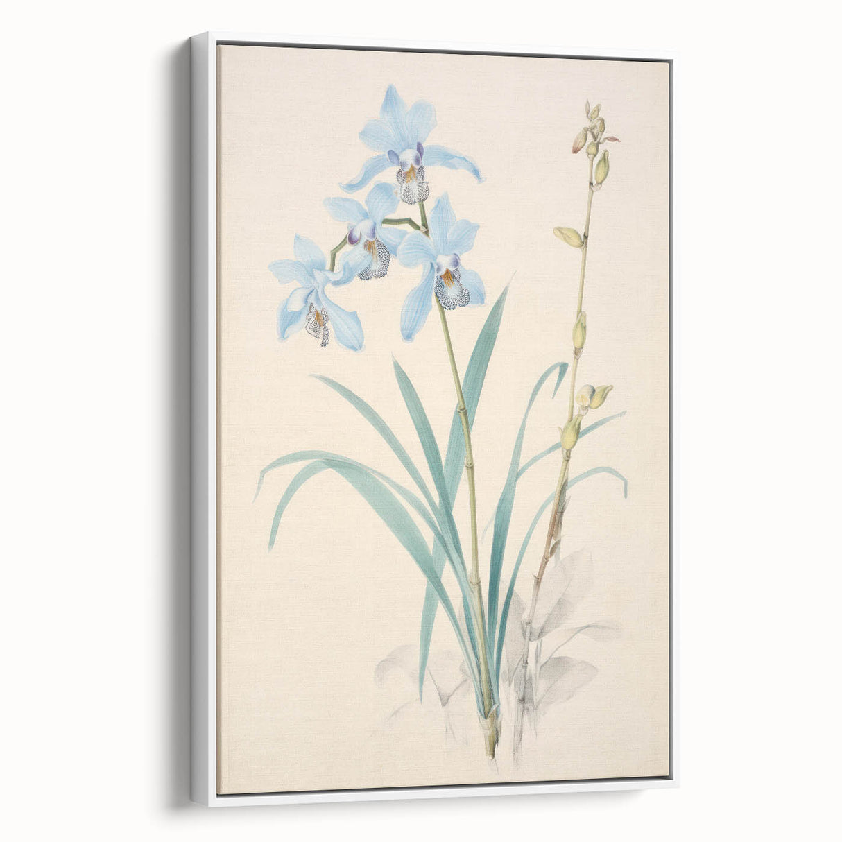 Maximalist Wall Art - Elegant Botanical Orchid Illustration for Home Decor