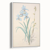 Maximalist Wall Art - Elegant Botanical Orchid Illustration for Home Decor