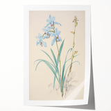 Maximalist Wall Art - Elegant Botanical Orchid Illustration for Home Decor