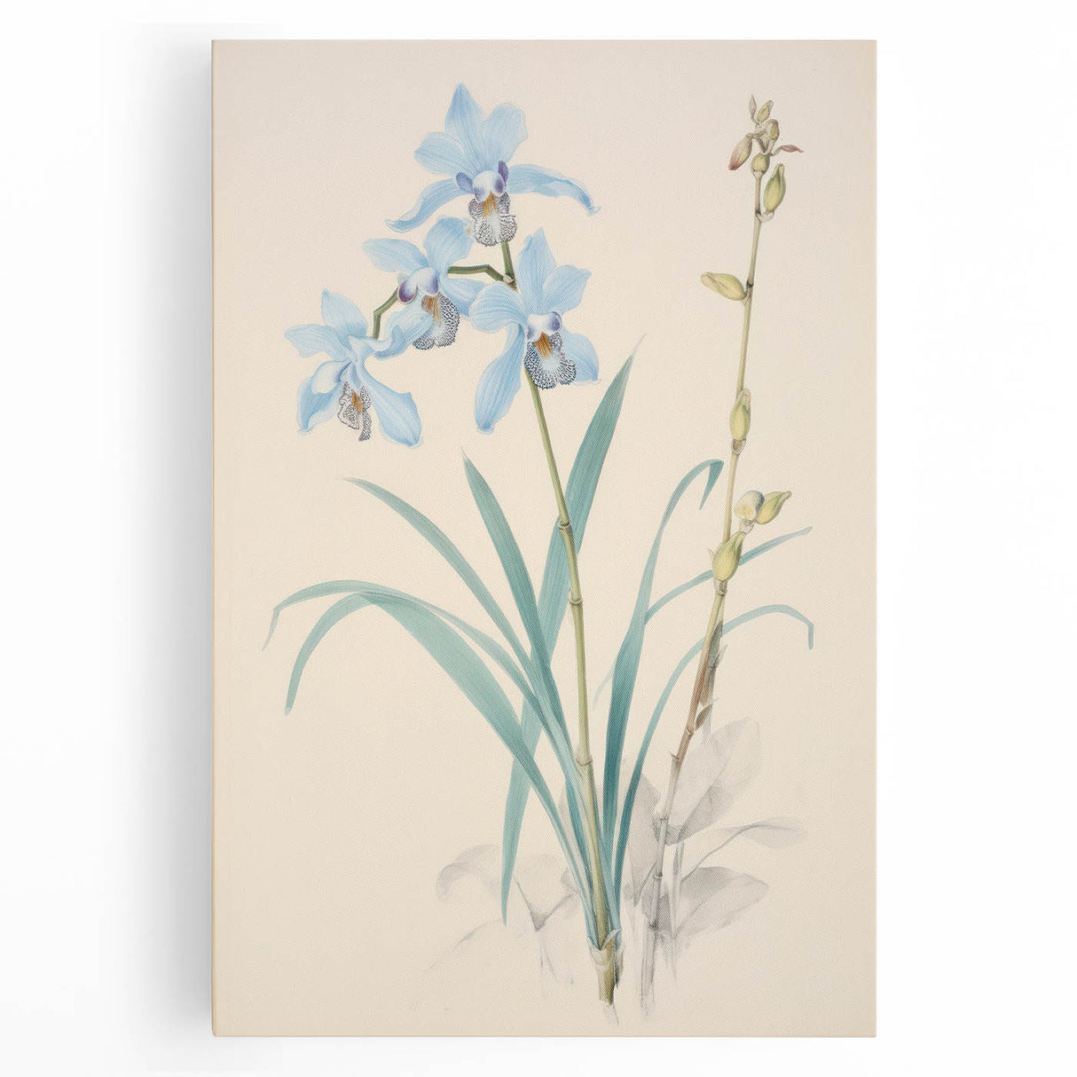 Maximalist Wall Art - Elegant Botanical Orchid Illustration for Home Decor
