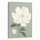 Maximalist Wall Art: Elegant White Peony on Soft Green for Serene Decor