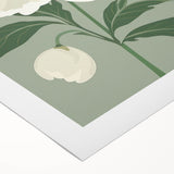 Maximalist Wall Art: Elegant White Peony on Soft Green for Serene Decor