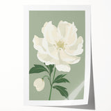 Maximalist Wall Art: Elegant White Peony on Soft Green for Serene Decor
