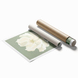Maximalist Wall Art: Elegant White Peony on Soft Green for Serene Decor