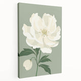 Maximalist Wall Art: Elegant White Peony on Soft Green for Serene Decor