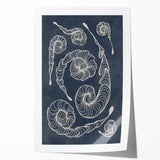 Mid Century Modern Art - Retro Spiral Geometric Design in Navy Blue