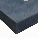 Mid Century Modern Art - Retro Minimalist Ginkgo Leaf Design in Blue