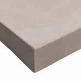 Mid Century Modern Art - Minimalist Retro Fish Design in Beige Tones