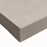 Mid Century Modern Art - Retro Minimalist Shell Design in Beige Tones