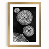 Mid Century Modern Art | Black and White Geometric Wall Decor | Retro Print