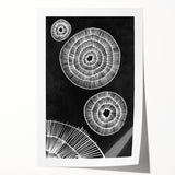 Mid Century Modern Art | Black and White Geometric Wall Decor | Retro Print