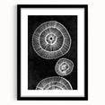 Mid Century Modern Art | Bold Geometric Wall Decor | Retro Black & White