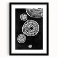 Mid Century Modern Art | Retro Geometric Wall Decor | Black & White Print