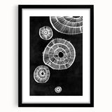Mid Century Modern Art | Retro Geometric Wall Decor | Black & White Print