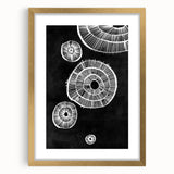 Mid Century Modern Art | Retro Geometric Wall Decor | Black & White Print