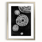 Mid Century Modern Art | Retro Geometric Wall Decor | Black & White Print