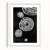 Mid Century Modern Art | Retro Geometric Wall Decor | Black & White Print
