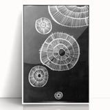 Mid Century Modern Art | Retro Geometric Wall Decor | Black & White Print