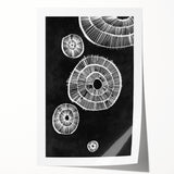 Mid Century Modern Art | Retro Geometric Wall Decor | Black & White Print