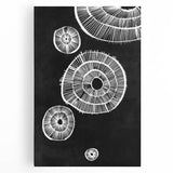 Mid Century Modern Art | Retro Geometric Wall Decor | Black & White Print
