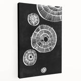 Mid Century Modern Art | Retro Geometric Wall Decor | Black & White Print