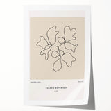 Minimalist Botanical Line Art: "Galerie Botanique No.01" Neutral Modern Print
