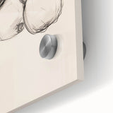 Minimalist Botanical Line Art: Sketch of Apples on Branch in Neutral Tones