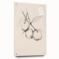 Minimalist Botanical Line Art: Sketch of Apples on Branch in Neutral Tones