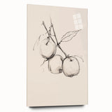 Minimalist Botanical Line Art: Sketch of Apples on Branch in Neutral Tones