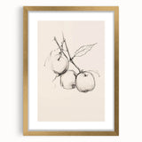 Minimalist Botanical Line Art: Sketch of Apples on Branch in Neutral Tones