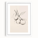 Minimalist Botanical Line Art: Sketch of Apples on Branch in Neutral Tones