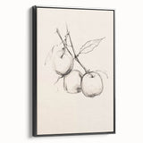 Minimalist Botanical Line Art: Sketch of Apples on Branch in Neutral Tones