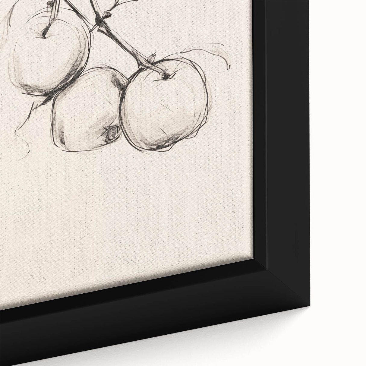 Minimalist Botanical Line Art: Sketch of Apples on Branch in Neutral Tones