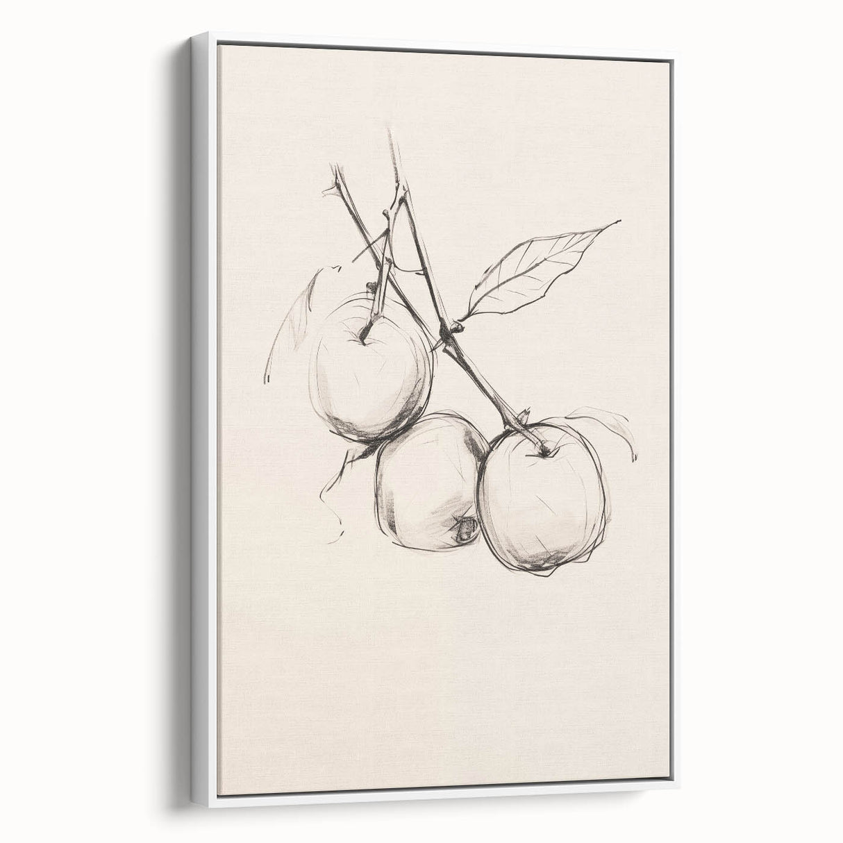 Minimalist Botanical Line Art: Sketch of Apples on Branch in Neutral Tones
