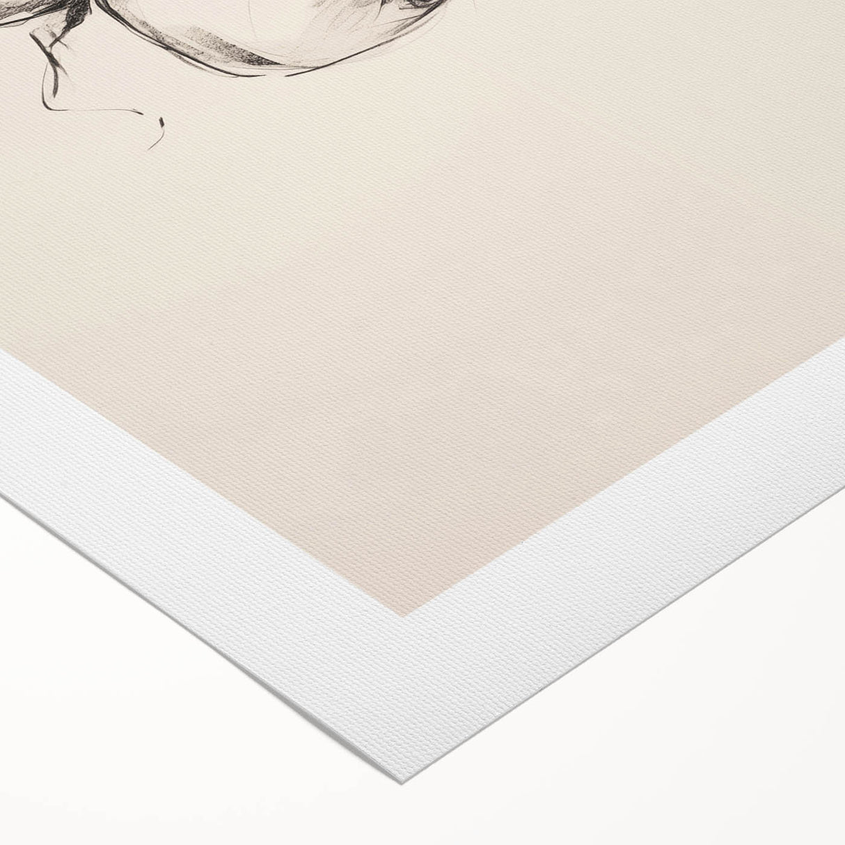 Minimalist Botanical Line Art: Sketch of Apples on Branch in Neutral Tones
