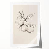 Minimalist Botanical Line Art: Sketch of Apples on Branch in Neutral Tones