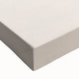 Minimalist Botanical Line Art: Sketch of Apples on Branch in Neutral Tones