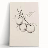 Minimalist Botanical Line Art: Sketch of Apples on Branch in Neutral Tones