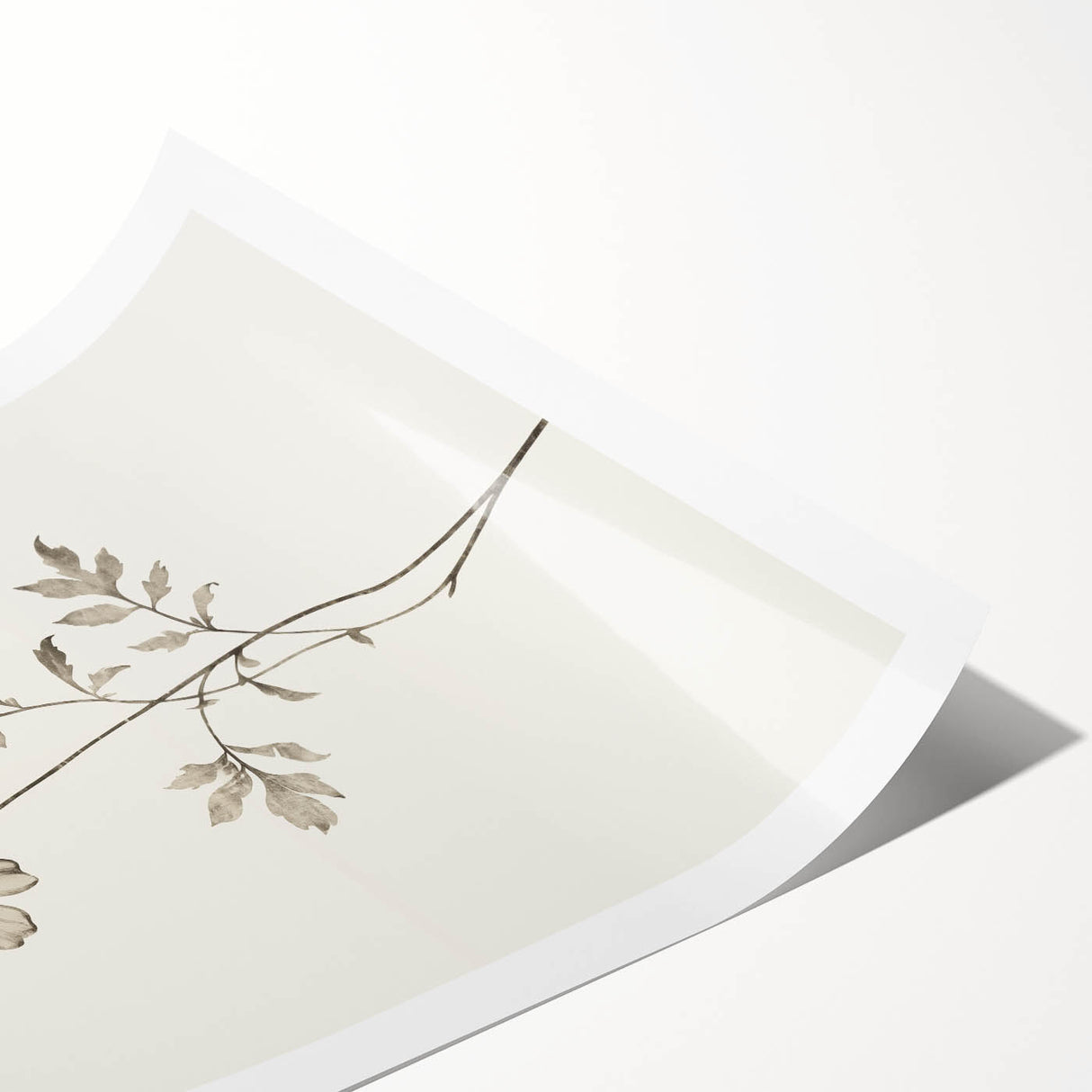 Minimalist Botanical Art: "Let’s Grow Wildflowers" Modern Floral Print