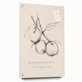 Minimalist Botanical Art: "Homegrown Fruit" Apple Branch Sketch in Neutral Tones