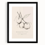 Minimalist Botanical Art: "Homegrown Fruit" Apple Branch Sketch in Neutral Tones