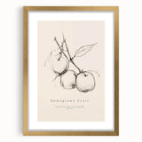 Minimalist Botanical Art: "Homegrown Fruit" Apple Branch Sketch in Neutral Tones