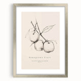 Minimalist Botanical Art: "Homegrown Fruit" Apple Branch Sketch in Neutral Tones