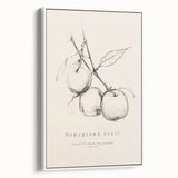 Minimalist Botanical Art: "Homegrown Fruit" Apple Branch Sketch in Neutral Tones