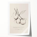 Minimalist Botanical Art: "Homegrown Fruit" Apple Branch Sketch in Neutral Tones