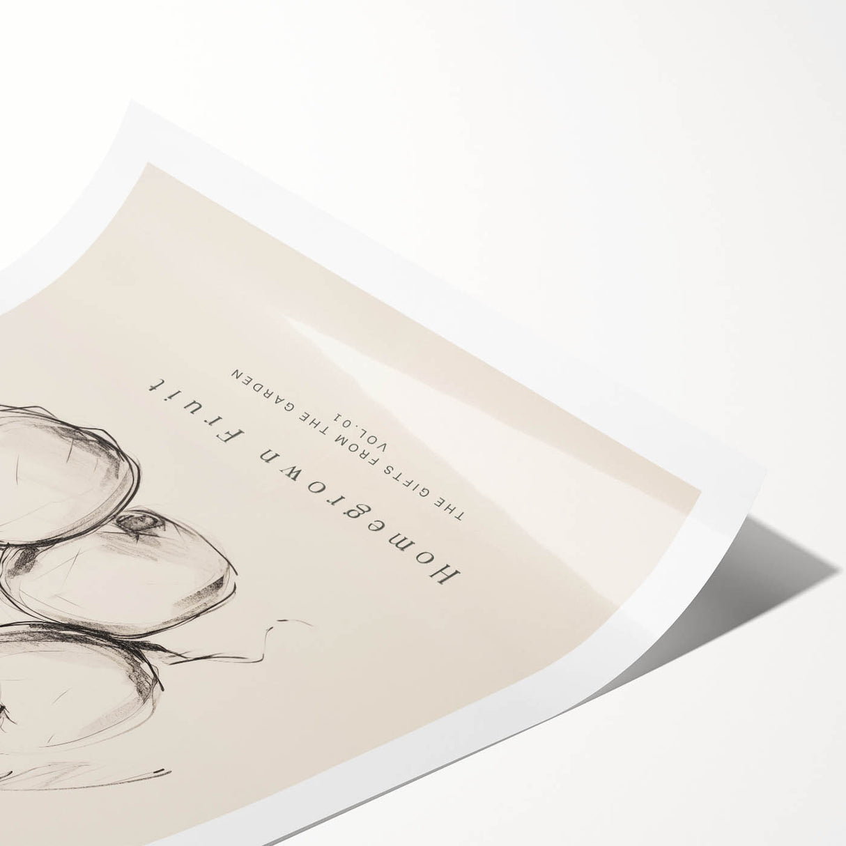 Minimalist Botanical Art: "Homegrown Fruit" Apple Branch Sketch in Neutral Tones