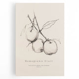 Minimalist Botanical Art: "Homegrown Fruit" Apple Branch Sketch in Neutral Tones