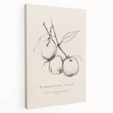 Minimalist Botanical Art: "Homegrown Fruit" Apple Branch Sketch in Neutral Tones
