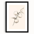 Minimalist Wall Art – Simple Botanical Line Art Prints for Modern Decor